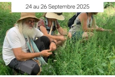 Plantes comestibles & médicinales de l’automne avec Guy Lalière