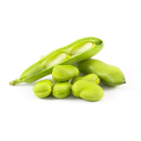 Photo feve des marais, vicia faba, fruit
