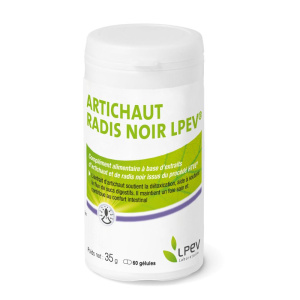 Artichaut Radis noir LPEV