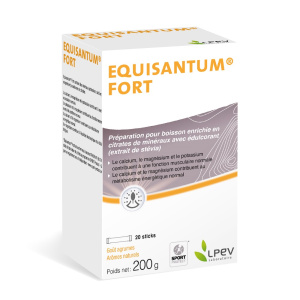 EQUISANTUM FORT