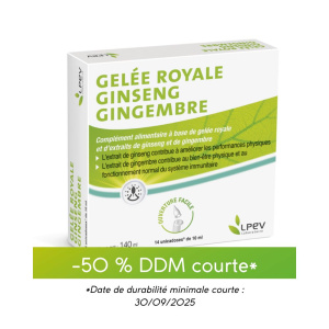 GELEE ROYALE GINSENG GINGEMBRE