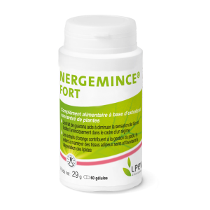 Nergemince Fort - Laboratoire LPEV
